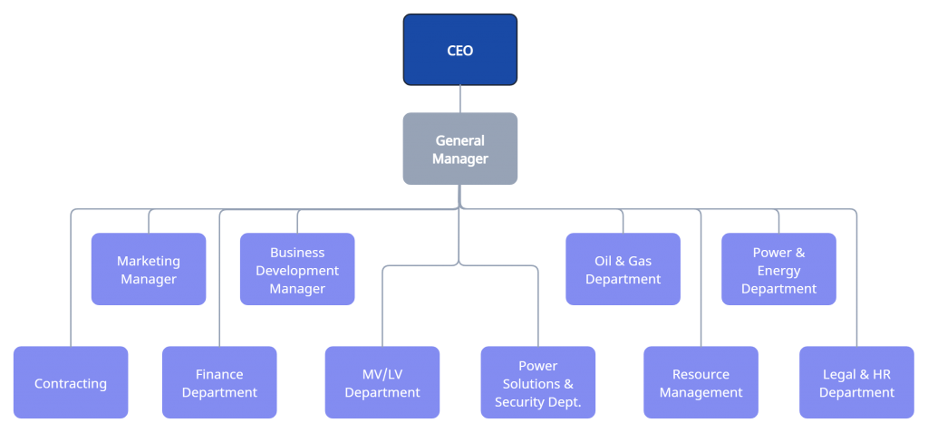 Shoneez Organization Structure